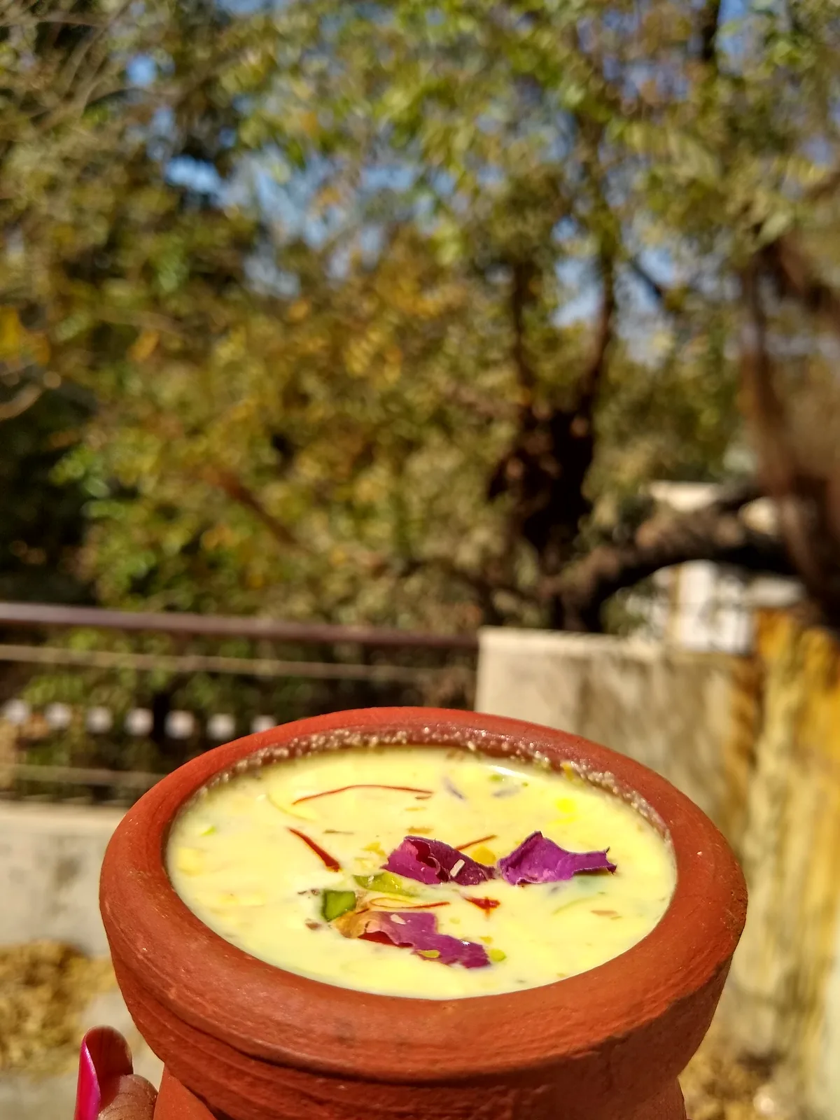 Thandai — chilled spiced milk drink served in a kulhad clay cup, popular at Holi and Mahashivratri